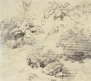 Thomas, Study for a Foreground,a Bank with Weeds and Thistles